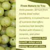 minature 100% Pure Amla Powder 100g (3.5 oz) |Natural Vitamin C Rich Indian