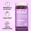HUM Calm Ashwagandha Gummies for Women and Men, L-Theanine Ashwagandha
