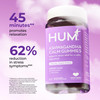 HUM Calm Ashwagandha Gummies for Women and Men, L-Theanine Ashwagandha