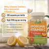 DACHA Natural Liposomal Vitamin C