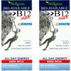 Wellgenix Bio-Available Sublingual B12 Max - Formulated for High Absorption
