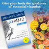 Wellgenix Bio Available Sublingual B12-60ct (2 Pack)