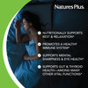 NaturesPlus Melatonin Spray, Natural Peppermint Flavor - 2 fl oz, Pack of 2