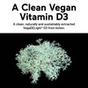 SMARTERNUTRITION Vegan Vitamin D3 5000 IU + Natural Vitamin K2 1100 mcg
