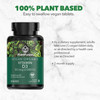 PlantFusion Vegan Vitamin D3 2000IU, Organic Vitamin D3, Sourced from Vitashine