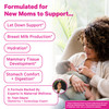 Pink Stork Organic Lactation Tea - Fenugreek, Fennel, Milk Thistle + More
