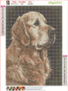 MaiYiYi Golden Retriever Dog Diamond Painting 5D Full Round Drill Cute Dog Diamond Painting by Numbers Puppy Paint with