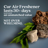 Enviroscent NonToxic Car Air Freshener Coastal Storm Teakwood Natural Car Air Freshener Essential Oil Diffuser Car Scent