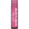 Burt's Bees Lip Tint Balm with Long Lasting 2 in 1 Duo Tinted Balm Formula, Color Infused with Deeply Hydrating Shea Butter for a Natural Looking Bui