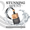 Greed Car Air Freshener for Men Perfume Inspired Fragrances Strong Car Freshener with Odour Eliminator Technology Air Fr