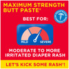 Boudreauxs Butt Paste Maximum Strength Diaper Rash Cream Ointment for Baby 2 oz Tube 14 oz Jar