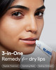 Remedy for Dry Lips AllInOne Lip Treatment Hydrating and Healing Lip Balm Ointment with Ceramides Peptides and Dimethico