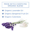 Hylands Baby Organic Calming Balm Soothe and Relax With Organic Lavender Eucalyptus and Bergamot Fruit Oil Safe and Gent