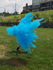 Gender Reveal Baseball PreFilled for Baby Showers and Gender Reveal Parties Blue