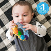 Baby Einstein TeetherPillar Rattle and Chill Teething Toy Ages 3 Months