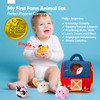 hahaland Baby Toys 612 Months Surprise Barn Stuffed Farm Animals Rattle Crinkle Mirror Montessori Toys for 6 Month Old S