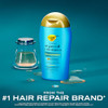 OGX Renewing Argan Oil of Morocco Conditioner Damage Repairing Conditioner Argan Oil to Help Strengthen Repair Dry Damag