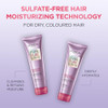 LOral Paris Moisture Sulfate Free Conditioner Hair Care for ColorTreated Hair with Rosemary Botanicals EverPure 85 Fl Oz