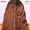 LOral Paris Moisture Sulfate Free Conditioner Hair Care for ColorTreated Hair with Rosemary Botanicals EverPure 85 Fl Oz