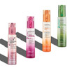 GIOVANNI 2chic UltraVolume LeaveIn Conditioning Styling Elixir Builds Volume Promotes Weightless Control for FineThin Ha