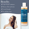 Olivae Conditioner Organic Olive Oil Conditioner with Organic Botanical Oils Specially Formulated to Nourish Hair Follic