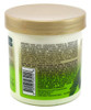 African Pride Olive Miracle Conditioner LeaveIn 15 Ounce Jar 443ml 2 Pack