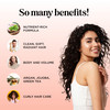 Argan Oil Conditioner for Dry Hair Nourishing Hair Conditioner for Damaged Dry Hair Infused with Argan Oil of Morocco Su