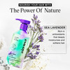 EVANYC Lazy Jane Air Dry Hair Conditioner 88 fl oz Vegan and GMOFree Anti Frizz Hair Products for Women Natural Texture