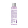 Design Essentials Agave Lavender Moisturizing Detangling ConditionerBlowDry Silk Press Collection 12oz