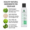 AWEGANICS Tea Tree Mint Conditioner Inspiring Aromatherapy Invigorating Peppermint Conditioners Cooling Cleansing Moistu