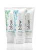 blowpro Blow Up Daily Volumizing Conditioner 8oz Lightweight Formula Conditions Nourishes Protects Hair Infused with Sil