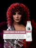Salon In Recamier Color Guard Conditioner for Colored Hair Prolongs Color Vibrancy Between Dyes 1001 Fl Oz