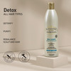 Il Salone Milano Detox Conditioner for All Hair Types Clarifying Hair Conditioner with Charcoal Powder Scalp Cleanser to