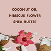 SheaMoisture Curl and Shine Conditioner For Thick Curly Hair Coconut and Hibiscus Sulfate Free 13 Fl Oz Pack of 2