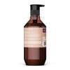 Theorie Smoothing Conditioner Controls Frizz Smooths Hair with Marula Sea Buckthorn Grape Seed Oils SulfateFree GlutenFr