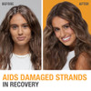 Neutrogena Healthy Scalp Rapid Renewal Conditioner with Pea Protein UV Damage Protecting for Strong HealthyLooking Hair