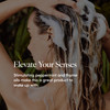 LATHER Mint Thyme Crme Rinse 8 fl oz Hair Conditioner Lightweight Detangler All Hair Types Avocado Oil Vitamins Protein