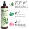 Leave In Conditioner Spray Tea Tree Scalp Treatment 2 Pack AntiDandruff Dry Itchy Scalp Relief Hydrating Formula for Pso