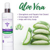 NouriTress LeaveIn Botanical Reconstructor LeaveIn Conditioner Moisturizing and Detangler Repair Damage Builds Strand St