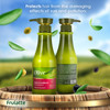 Frulatte Natural Olive Oil Leave In Conditioner Detangler Enriched with Shea Moisture Argan Oil AntiFrizz Deep Hair Cond