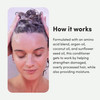 hers Triple Threat Conditioner Amino Acid Argan Oil Coconut Oil Formula Moisturizing Conditioner for All Hair Types Colo