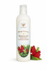Island Soap Candle Works Awapuhi Mango Coconut Conditioner 12 Ounce Moisturizing Hawaiian Conditioner Smooth Hydrate wit