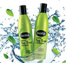 ShiKai Natural Tea Tree Oil Conditioner Made With Essential Oils Of Peppermint Tea Tree To Refresh Stimulate Hair Scalp