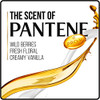 Pantene Argan Oil Shampoo 254 OZ and Conditioner 24 OZ for Dry Hair Smooth and Sleek Bundle Pack Packaging May Vary