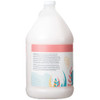 Ginger Lily Farms Botanicals Moisturizing Conditioner for Dry Hair Champagne Mimosa 100 Vegan CrueltyFree Citrus Blend S