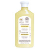 Intea Blonde Hair Conditioner with Natural Chamomile Extract Keeps and Enhances Blonde Hair Colour 85 oz 250 ml