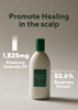 AROMATICA Rosemary Hair Thickening Conditioner Vegan Hair Conditioner for Damaged Hair and Dry Hair Moisturizing Conditi