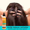 SAUCE BEAUTY Clarifying Scalp Treatment 8 Fl Oz Sparkling Apple Cider Scalp Hair Cleanser Buildup remover with Apple Cid