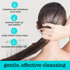 SAUCE BEAUTY Clarifying Scalp Treatment 8 Fl Oz Sparkling Apple Cider Scalp Hair Cleanser Buildup remover with Apple Cid