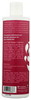 Purezero Conditioner Apple Cider Vinegar Detoxifying 12 Ounce